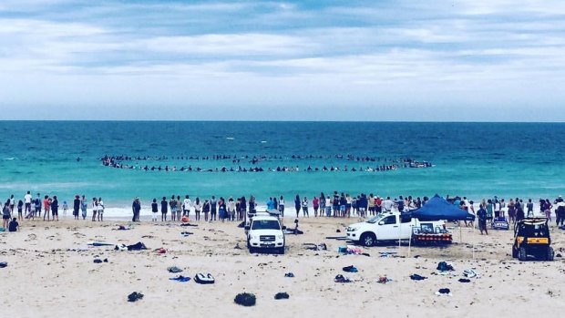 Surfers took to the water at Secret Harbour to pay tribute to the two men.