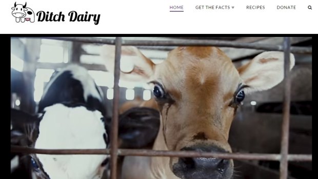 The Ditch Dairy website tells people to cut dairy products from their diet due to the alleged cruelty to cows.