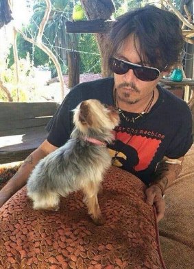 Actor Johnny Depp with one of his terriers.