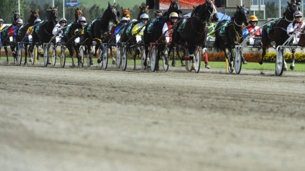 Big draw: The Inter Dominion Grand Final Harness race at Menangle Park in 2013.