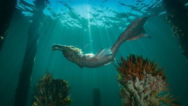 During the warmer months Busselton Jetty, the longest wooden structure of its type in the world, plays host to an even more exotic marine species: two playful mermaids.