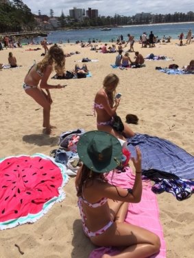 Tourists delighted in a visit from an echidna on Shelly Beach near Manly on Friday.