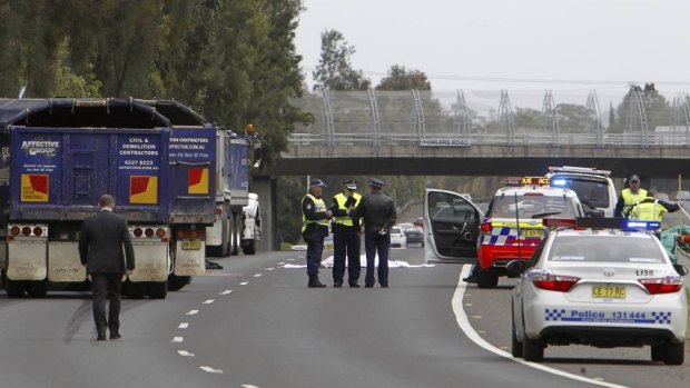 Aashima Goyal was struck by a truck and killed on the Princes Motorway at Dapto.