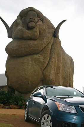 Rambo: the Big Merino in Goulburn.