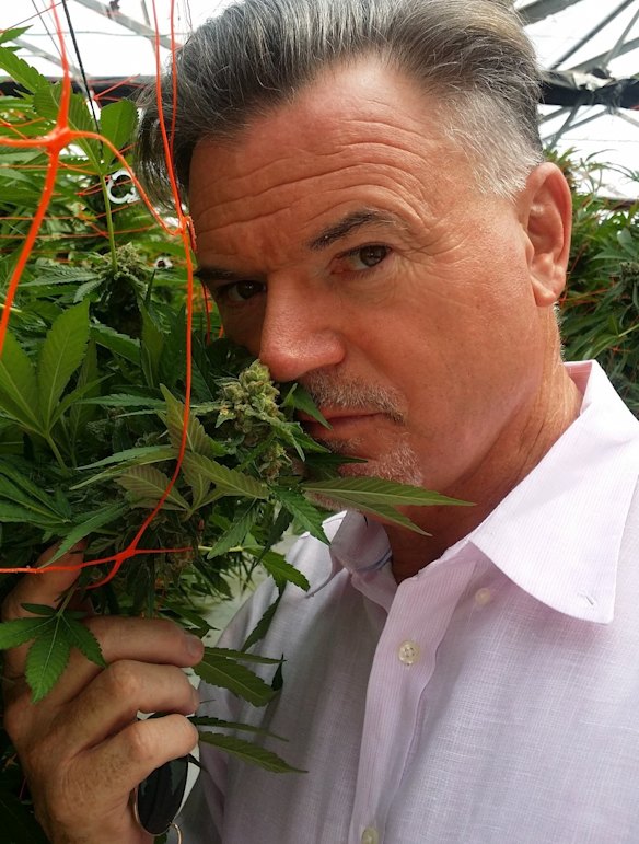 Phytotech medical founder Ross Smith resigned as executive director following a social media furore.