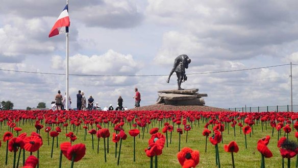 Part of the 5000 poppies project at the Australian Memorial Park, Fromelles.