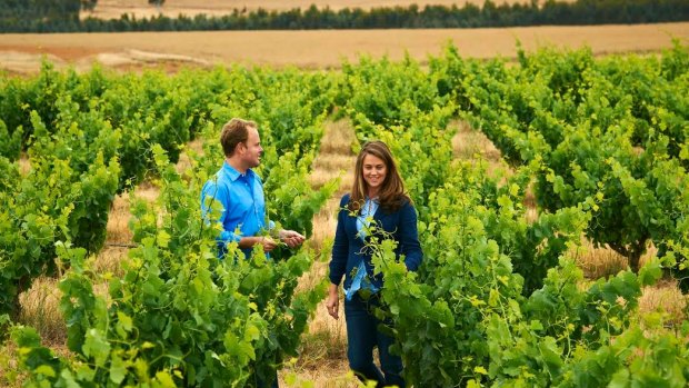 The Swinney family has been in the Frankland River region since 1922. Matt Swinney and sister Janelle are at the forefront of the vineyard's push for perfection.
