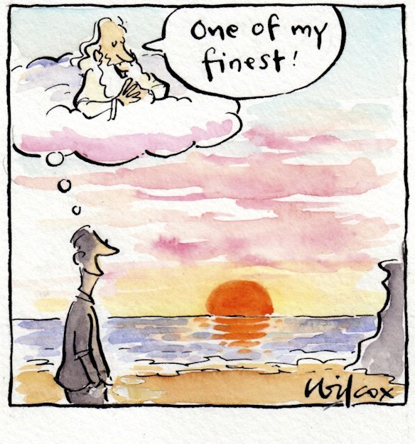 <i>Illustration: Cathy Wilcox</i>