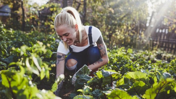 Gardening is 'one of those wonderful things that has happened for a bad reason'.