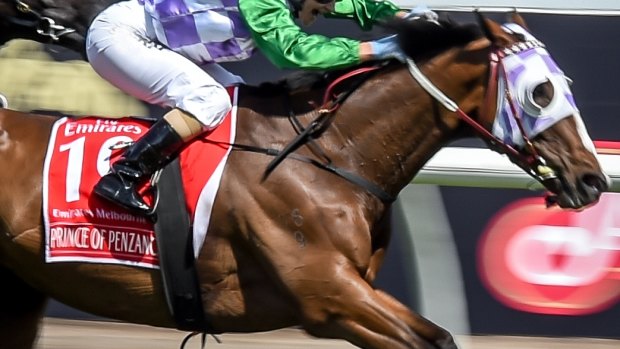 Prince of Penzance and Jockey Michelle Payne win the Melbourne Cup last year.