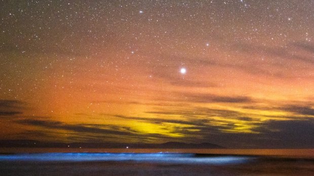 The spectacular bioluminous outbreak in Tasmania is bringing light and colour to Hobart’s night skies.