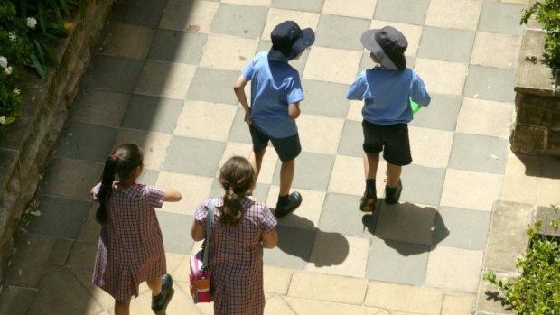 The Safe Schools website contains material entirely inappropriate for students, writes Bill O'Chee.