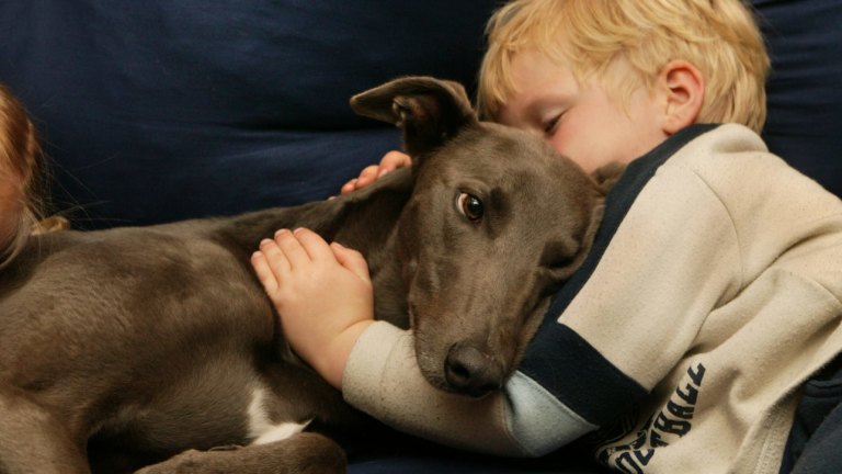 Why Dogs Attack Babies Unfamiliarity Smell Sound And Gaze Can Contribute