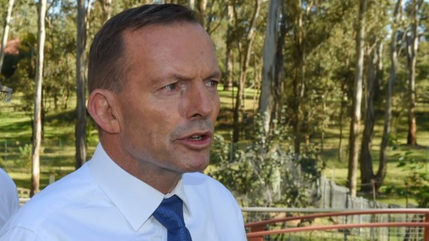 Australian Prime Minister Tony Abbott  is out of the doldrums.