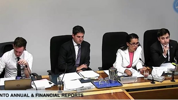 Elizabeth Kikkert at ACT parliamentary hearings: "It's not safe school, it's safe sex". She is with, from left, Labor's Chris Steel, the Liberals' Andrew Wall and Labotrs Michael Pettersson.