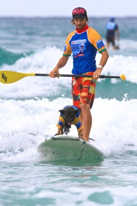 The dog surfing workshop is a great way to bond with your dog, Chris De Aboitiz says.