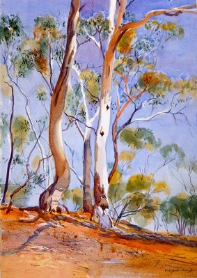 Artist Margaret Cromb delves into themes of ecology in her exhibition Bushland. 