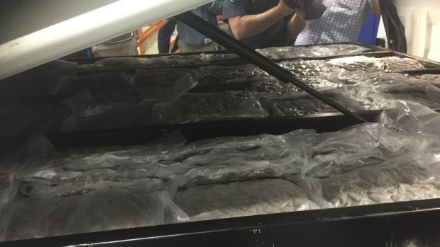 $1 million cannabis haul as ute from SA intercepted at Withcott.