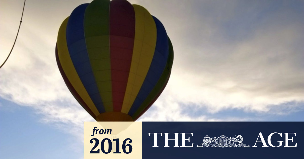 Hot-air balloon lands in St Kilda Botanical Gardens