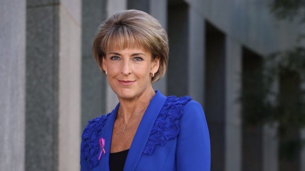 Employment Minister Michaelia Cash wants to redress the gender balance across the workplace.