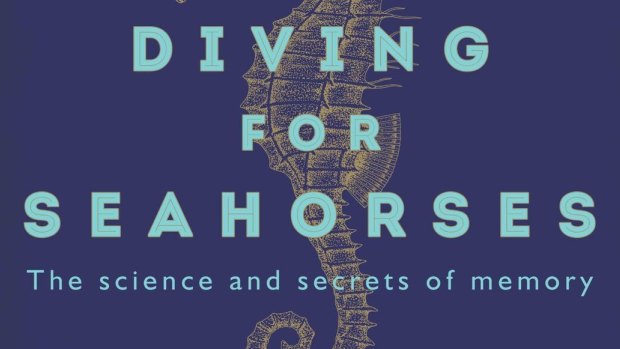 <i>Diving for Seahorses</I> by Hilde and Ylva Ostby.