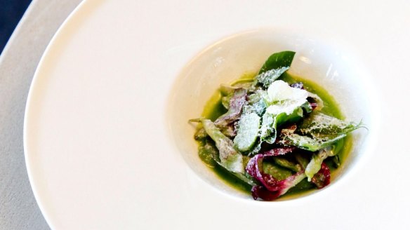 Sheep's milk blancmange, broad beans and their juice.