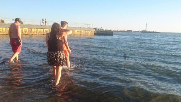 Beachgoers give the shark a closer look on Monday night.