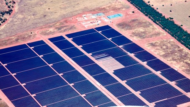 More plants like AGL's Nyngan solar farm are on the horizon.