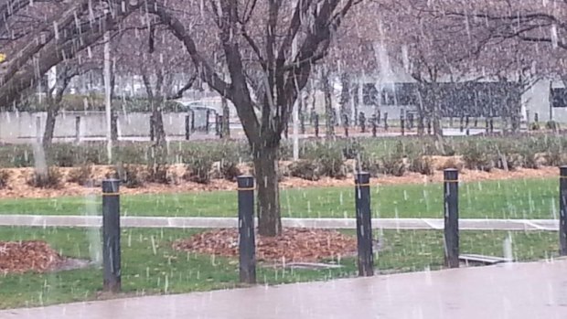 Snow falls at the AIS in Canberra.