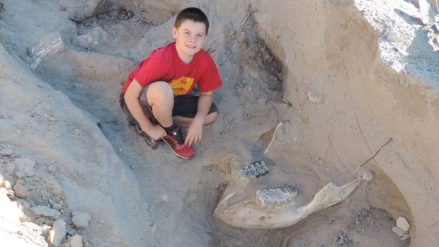 Jude Sparks with the stegomastodon fossil he stumbled across near Las Cruces, New Mexico. 