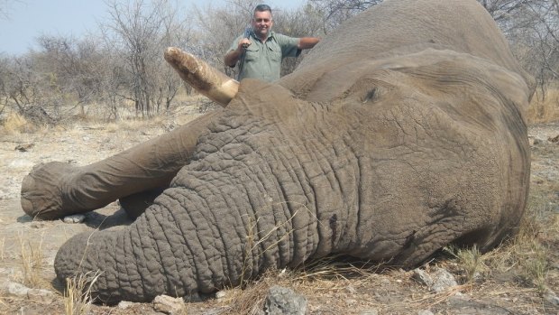 Nick Haridemos with an elephant bull he shot and killed.