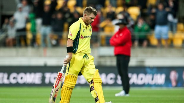 Leg before laws: The changes to interpretations will be used in Australia's ODI against Ireland.