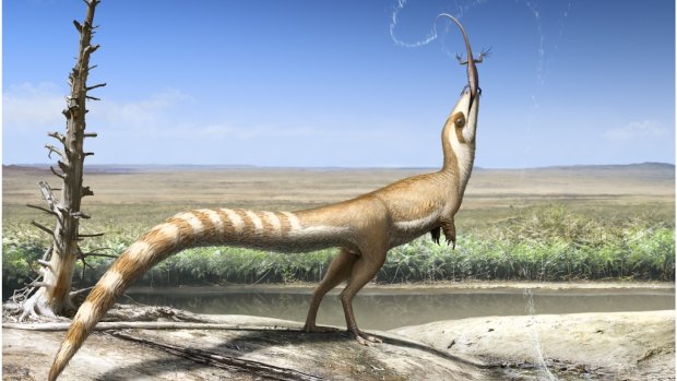 Sinosauropteryx may have had colour patterns associated with camouflage in living animals today.