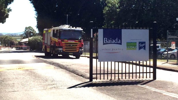 A fire truck leaves the Baiada factory in Beresfield, where there was a chemical leak on Monday morning.