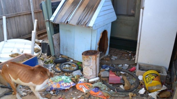 A picture of the conditions the dog was living in at the Belconnen home.  