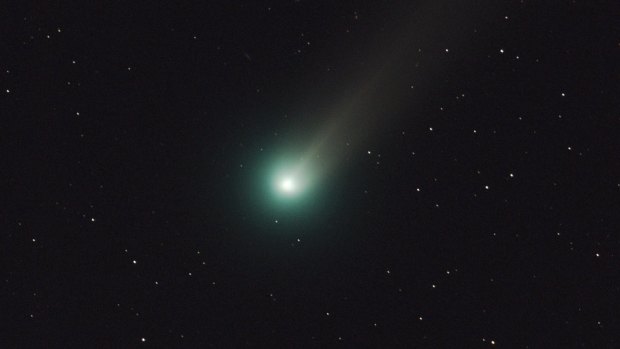 Discovery: Comet Lovejoy has been the subject of some striking photographs in the northern hemisphere but antipodean stargazers may miss out. 