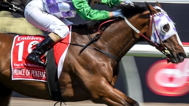 Important step: Melbourne Cup winner Prince of Penzance will tackle the Underwood Stakes.