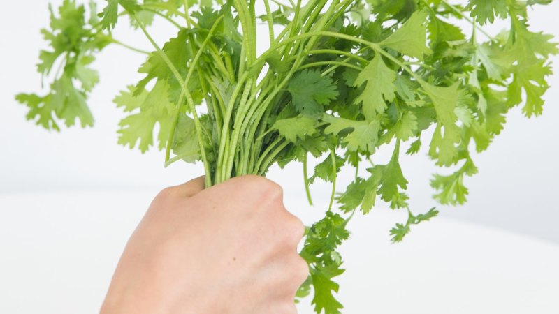Jackie French Spicing Up Winter With Coriander