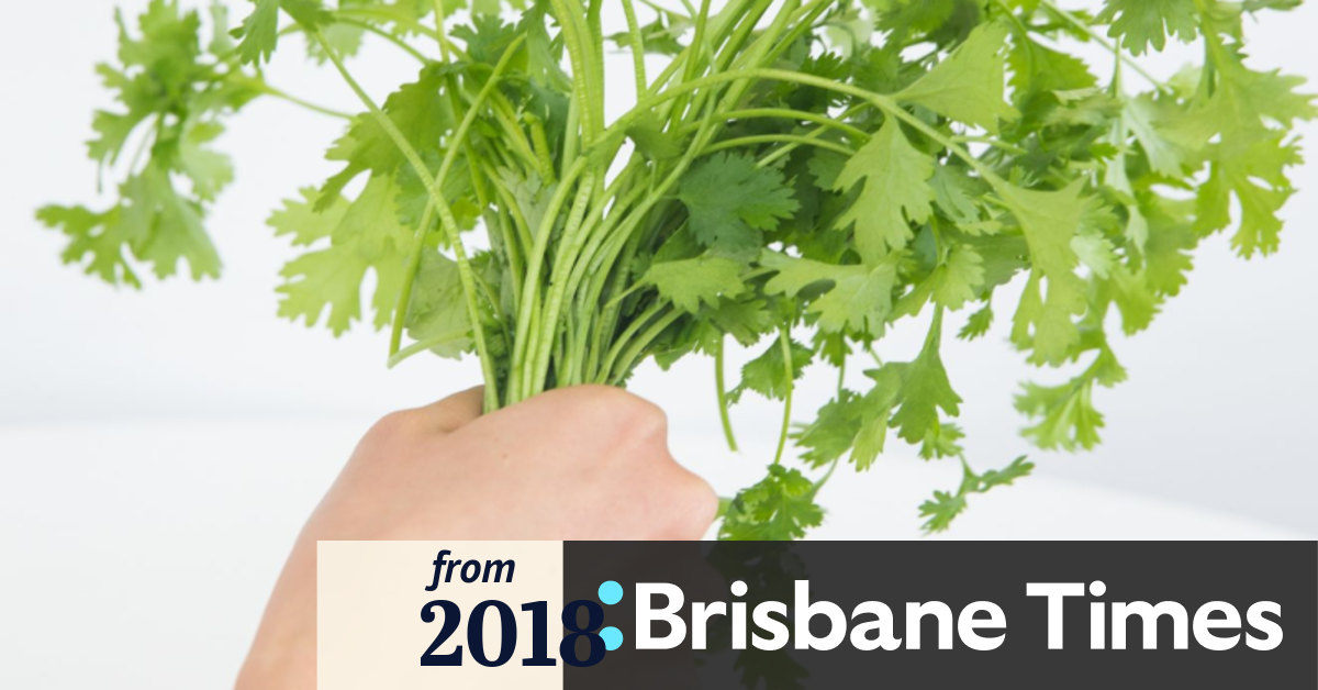 Jackie French Spicing Up Winter With Coriander