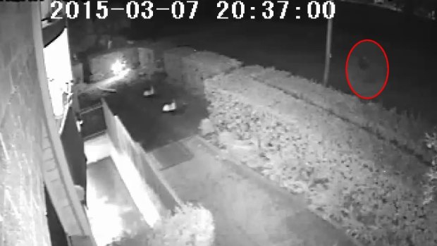 CCTV showing a mysterious figure walking past Parramatta Golf Course on the night of Prabha Kumar's death.