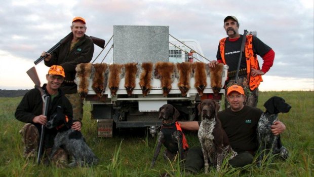 Wayne Hogan, Andy Mallen, David Mills and Steve Ballas (standing) with their pointer dogs and nine foxes, flushed from large blackberry patches near Marulan.