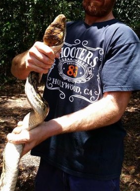 The python was released back into the wild without being harmed.
