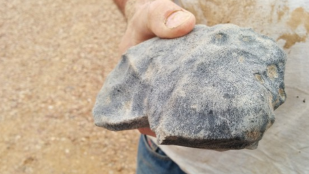 This 1.68 kilogram meteorite was tracked and retrieved by Australian scientists in January.