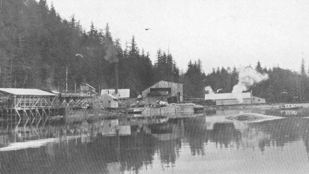 A shore whaling station in south-east Alaska in 1915.