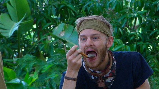 Horrific: Joel Creasey is reuniting some of his <i>I'm A Celebrity...</i> alumni for his Halloween party.