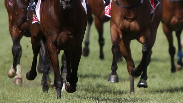 Two Australian Turf Club officials have been disqualified from racing over betting.