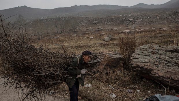 Li Chao carries wood for his stove in the rural village of Chashan, China.