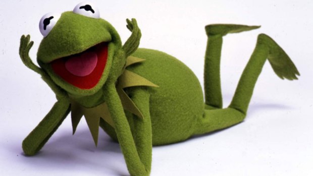 Kermit the Frog is poised to leap back into our lives.