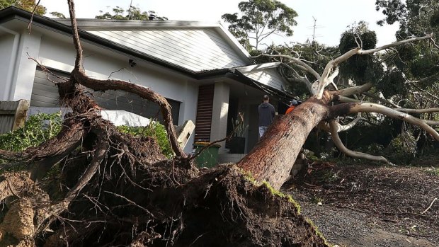 Insurance companies have fielded nearly 30,000 claims from the recent NSW storms.