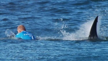 Mick Fanning was attacked by a shark during the J-Bay Open, managing to punch and kick it away.